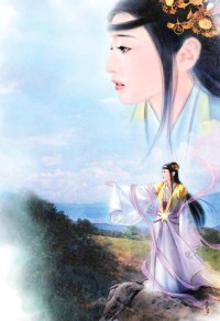 诚征驸马爷
