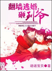 《翻牆逃婚,砸到爺》