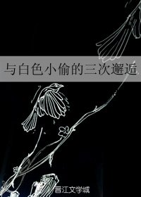 （魔術快鬥同人）與白色小偷的三次邂逅