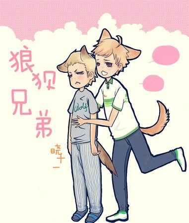 狼狽兄弟
