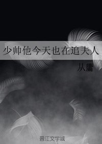 《少帥他今天也在追夫人》