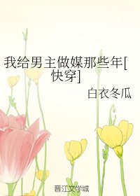 我給男主做媒那些年