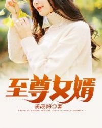 《至尊女婿》