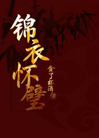 錦衣懷璧