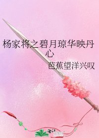 《楊家將之碧月瓊華映丹心》