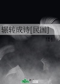 《少帥他今天也在追夫人》