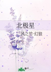 北極星