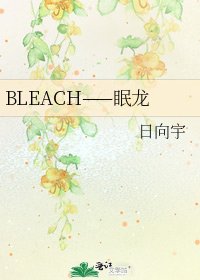 《BLEACH——眠龍》