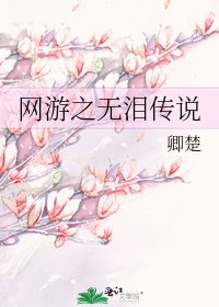 《網遊之無淚傳説》