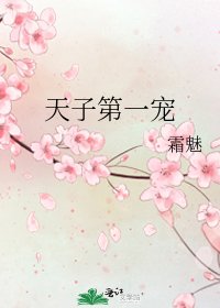 《天子第一寵》