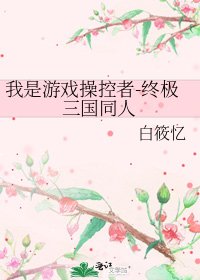 我是遊戲操控者-終極三國同人
