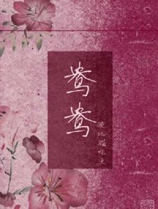 《鴦鴦》