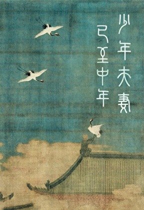 《少年夫妻已至中年》