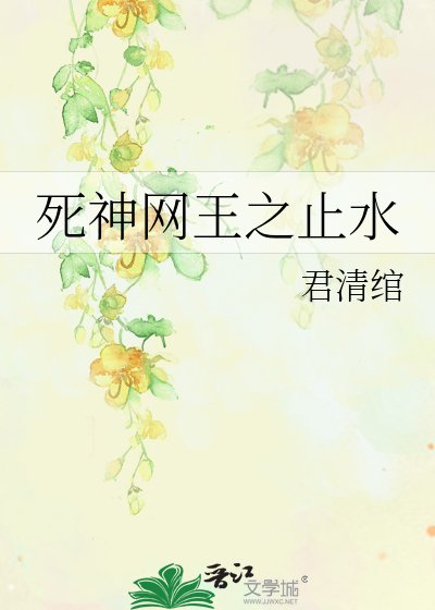 《死神網王之止水》