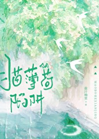 《貓薄荷陷阱》