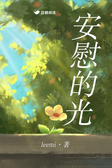 《安慰的光》