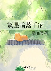 《繁星暗落千家》