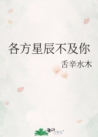 《各方星辰不及你》