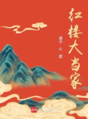 （紅樓夢同人）紅樓大當家