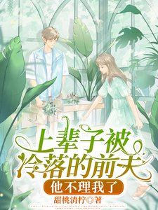 《上輩子被冷落的前夫,他不理我了/雙重生:他心灰意冷,她纏撩求吻》