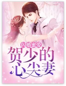 閃婚蜜愛：賀少的心尖妻