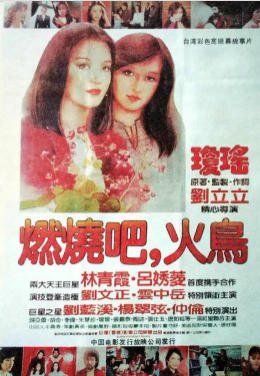 燃燒吧！火鳥（出版書）