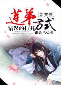 《(BL/新笑傲同人)蓮弟錯誤的打開方式》