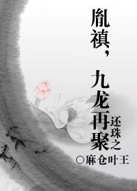 《(BL/還珠同人)還珠之胤禛,九龍再聚》